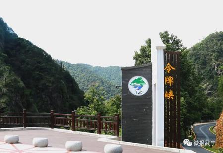 令峡牌